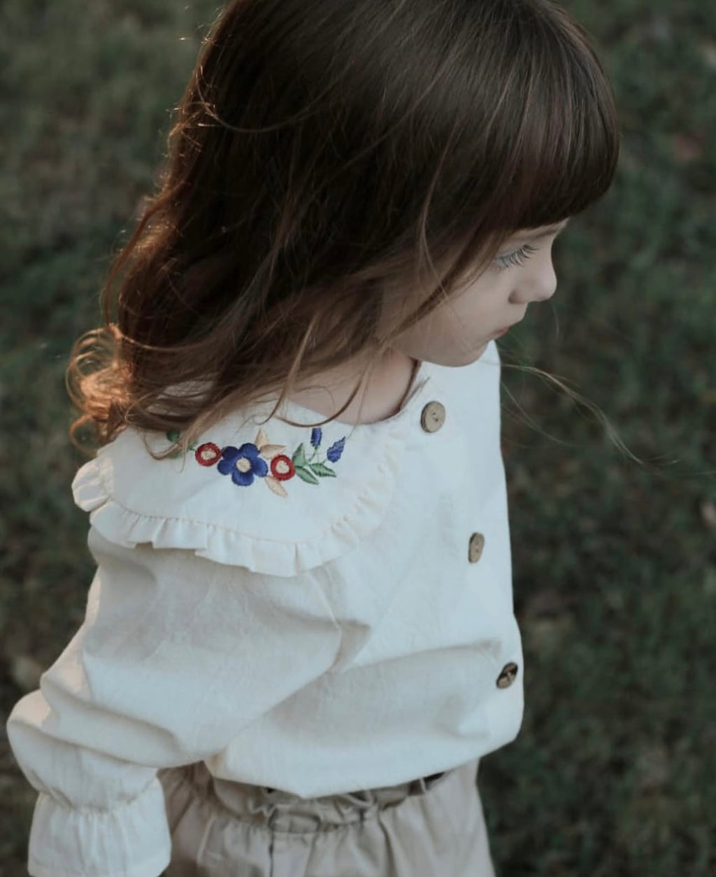 Blusa Itati