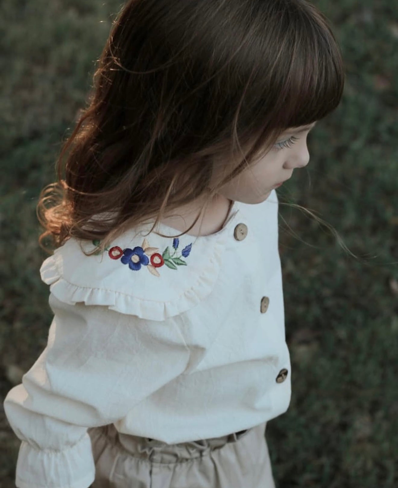 Blusa Itati