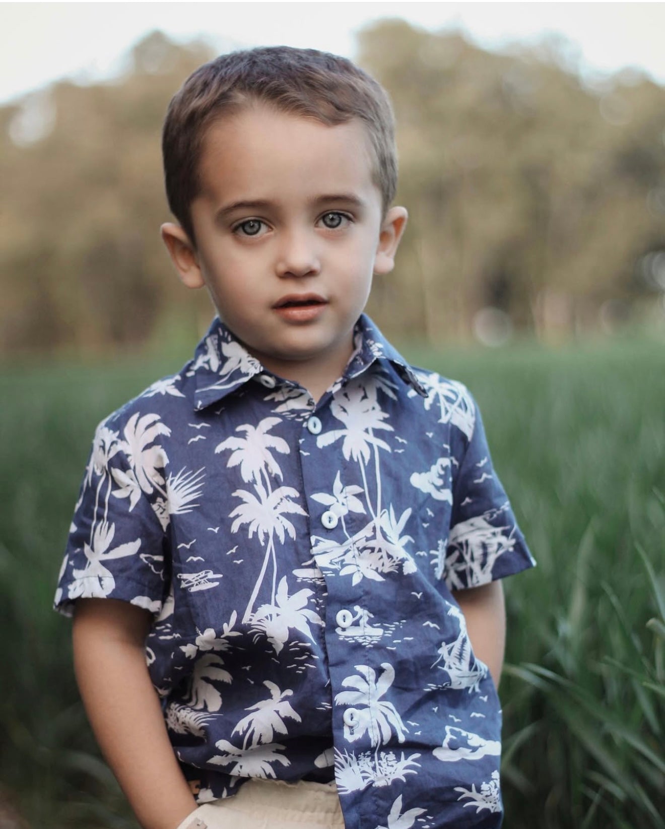Camisa Hawai